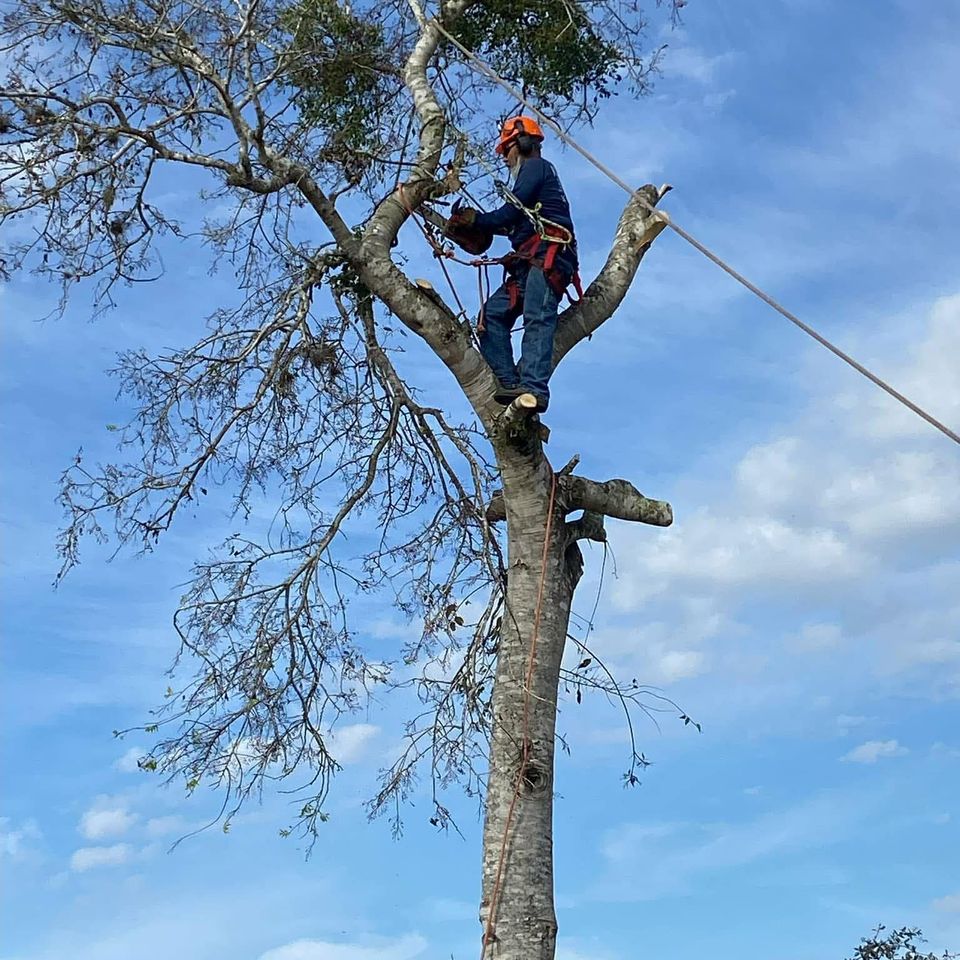 4f06af1e d44d 4b89 805a 1c73dc3b2904