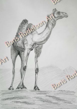 Pencil. Camel