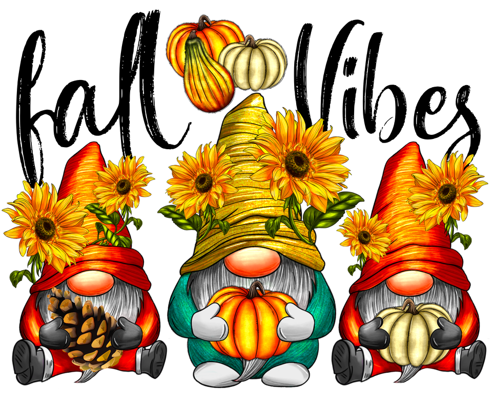 Seasons   fall fall vibes gnomes
