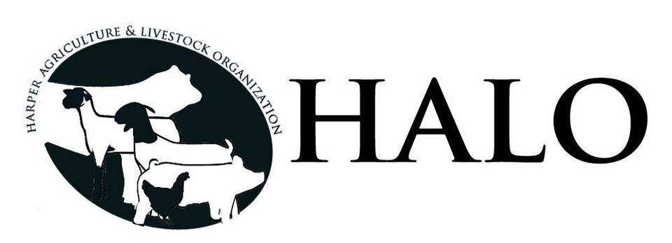 Haloheader