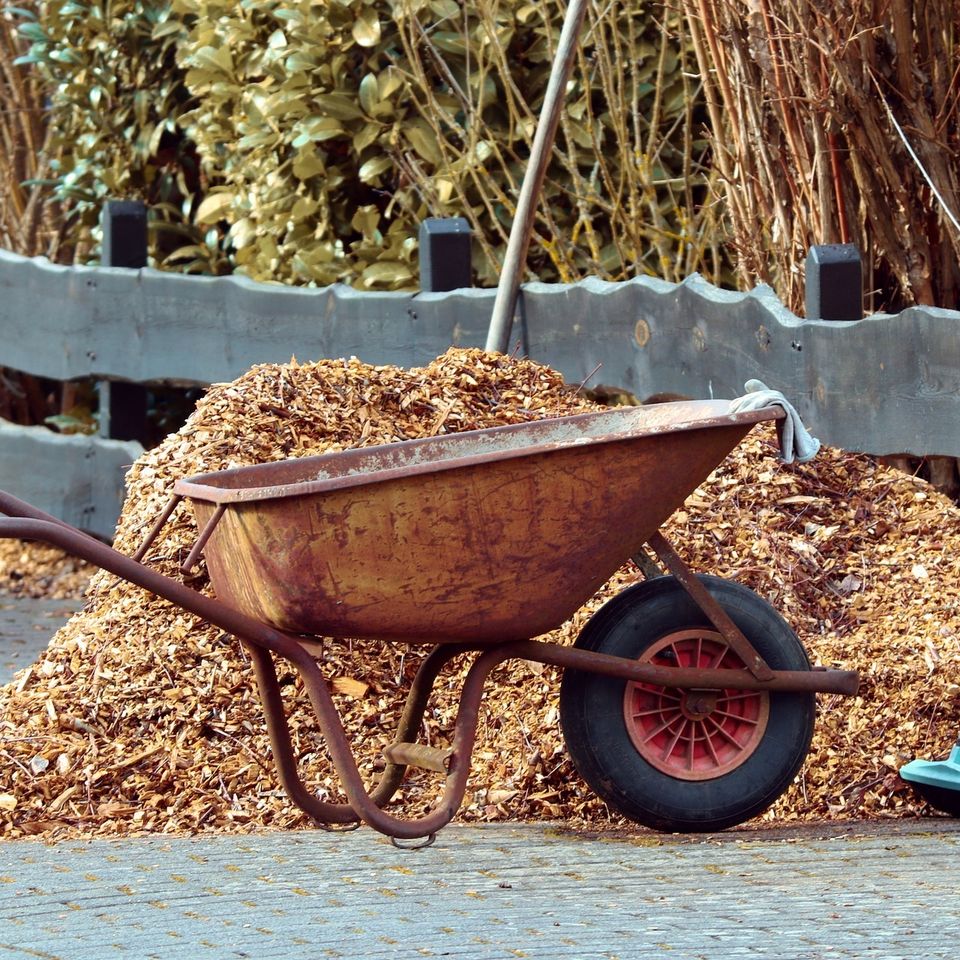 Gardening 55e9dc4448 1920