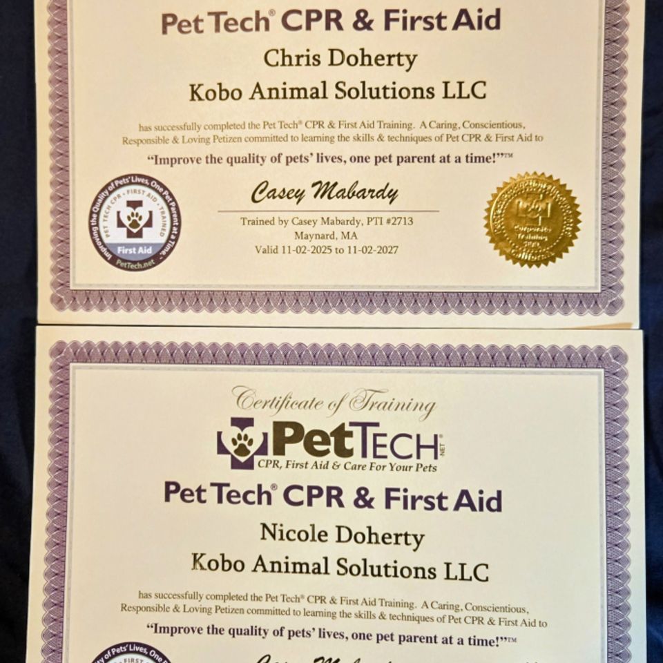 2025 cpr first aid certifications scaled