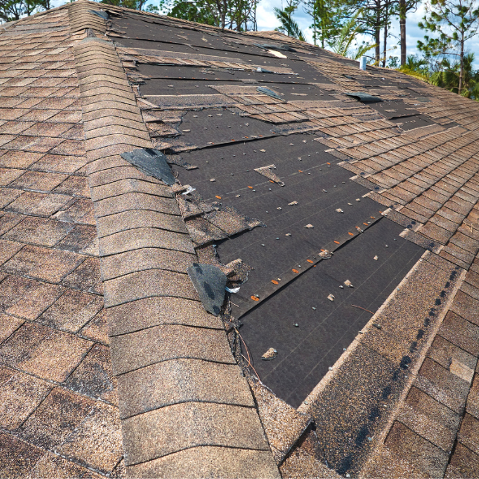 Damaged asphalt shingle roof showing exposed underlayment before replacement.