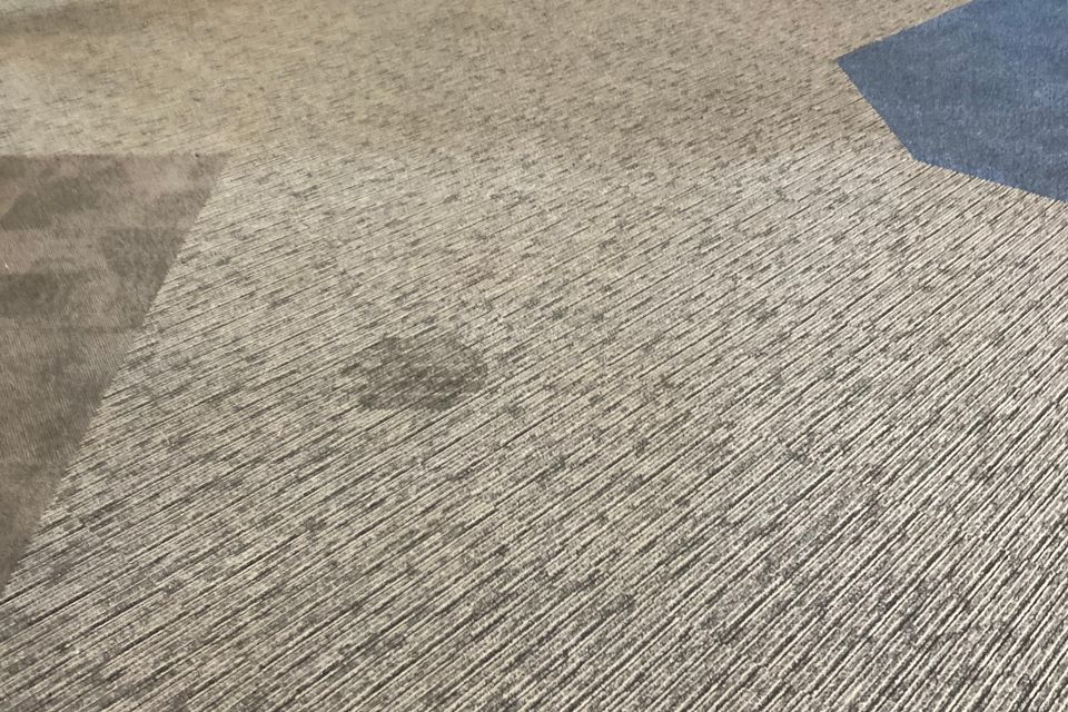 A really cleean carpet