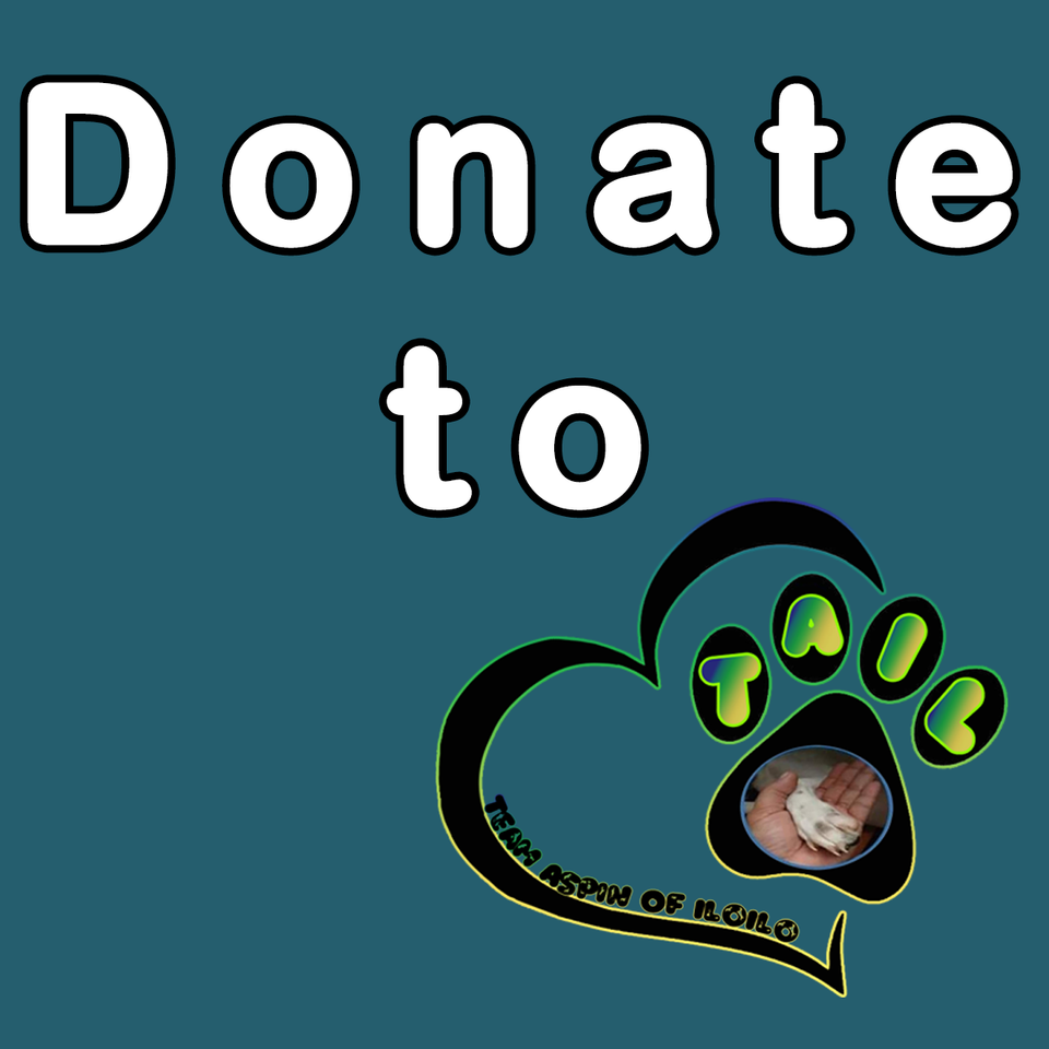 Donate