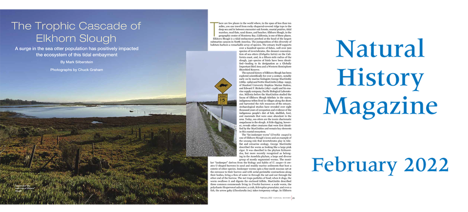 Natural history feb 2022