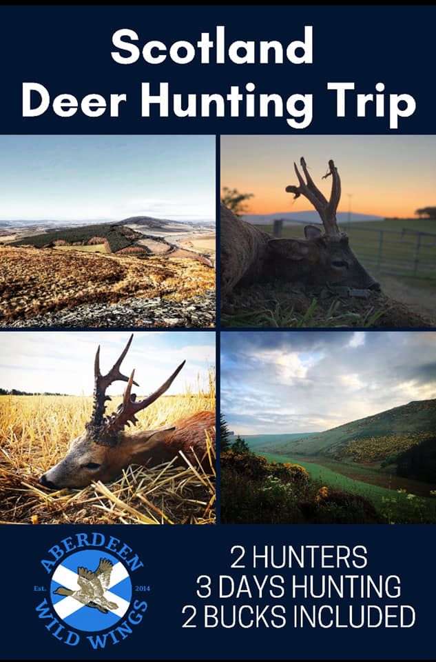  10 scotland hunting trip