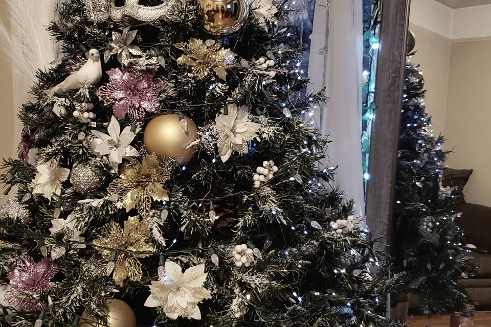 Resized 20251226 184330