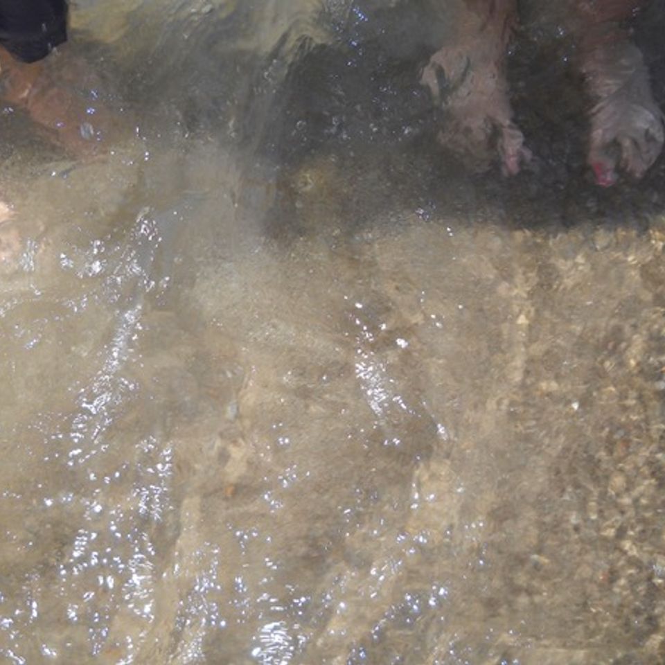 Feet in water