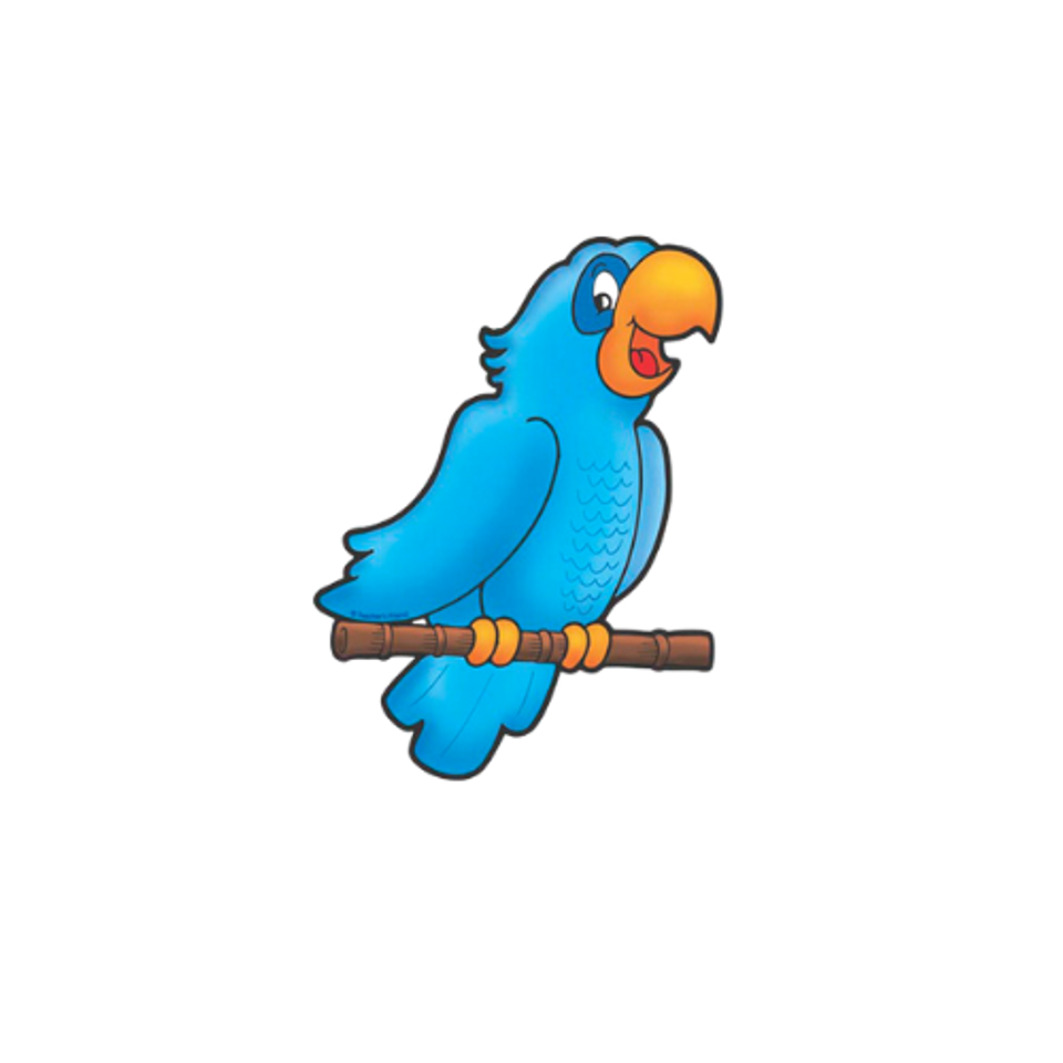 Blue parrot bird3