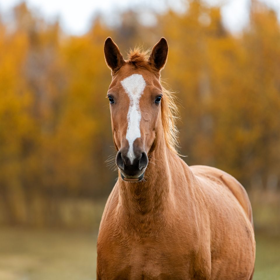 Adobestock 458217616