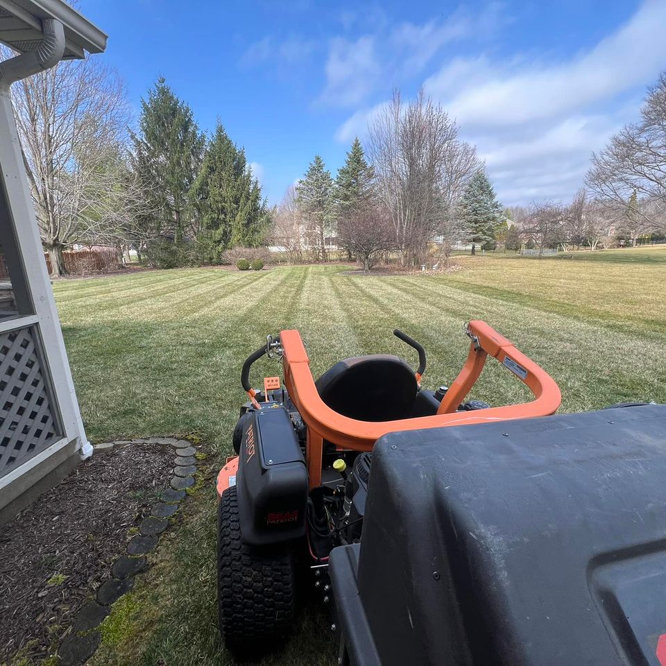 Image gallery 14 spring cleaning