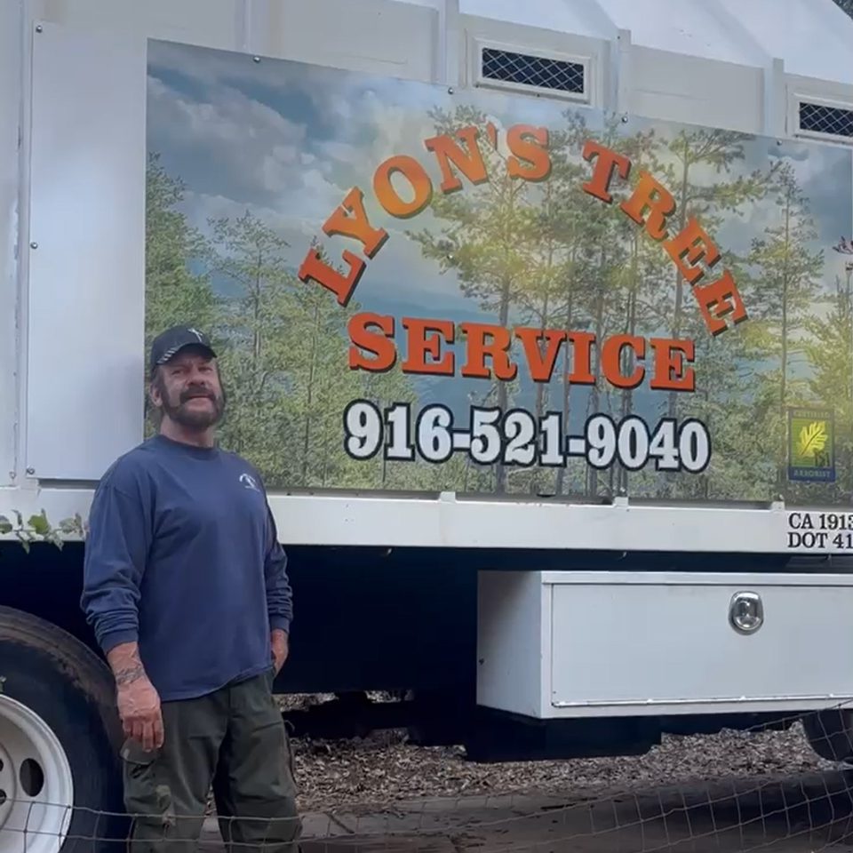 lyons tree service tree service truck auburn