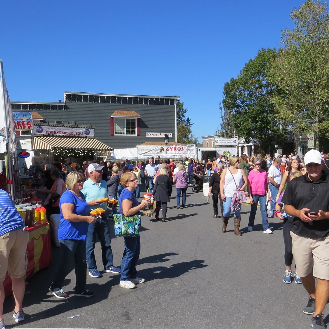 Festival Lots Fort Ligonier Days