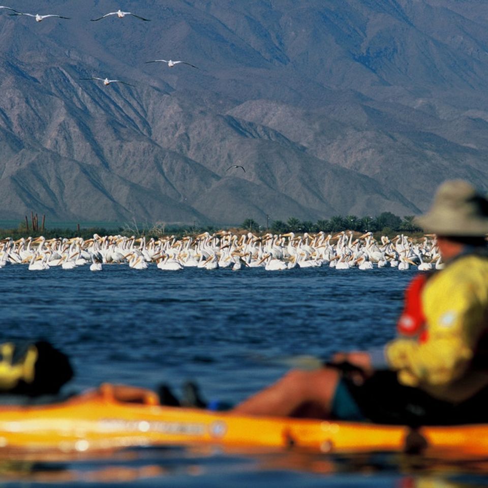 Chuckgraham saltonsea img02420121130 1864 10yqi4k 0