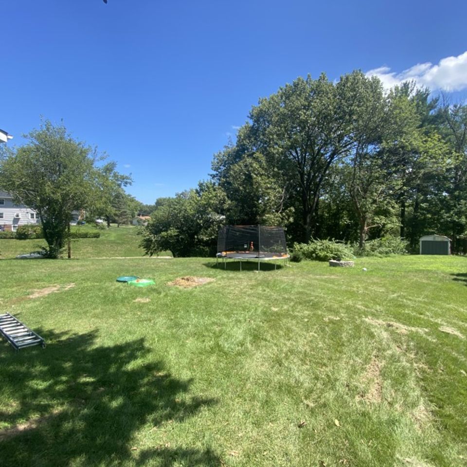 Back yard