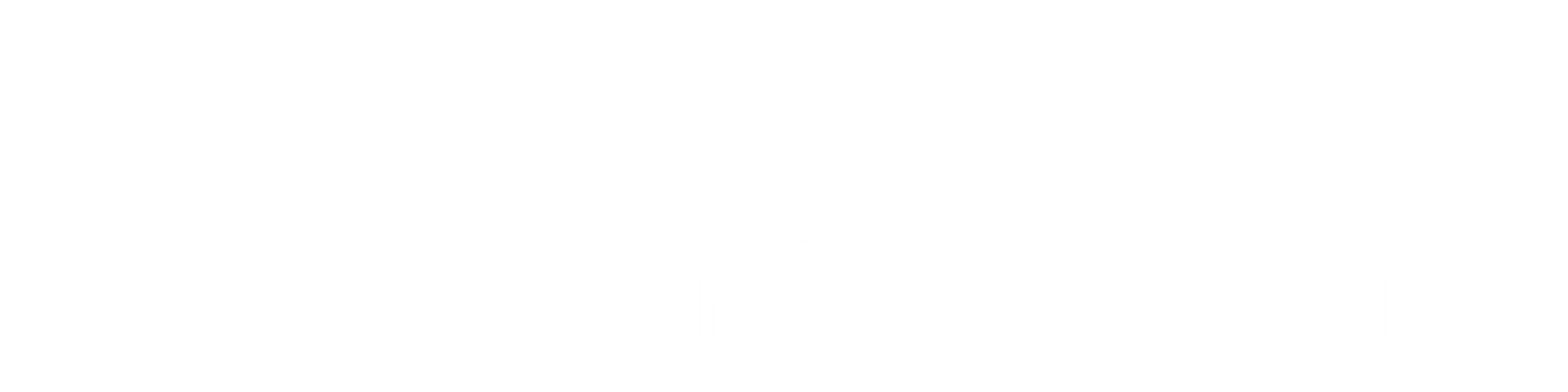 Express Mechanical Cleaning Services