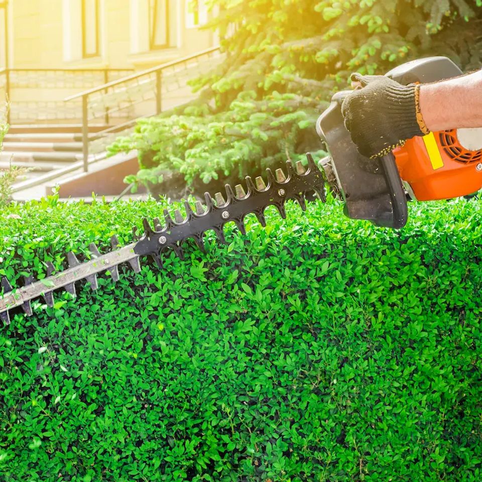 Hedge trimming, done by Get A Mow On Lawn Care LLC of Chesapeake VA