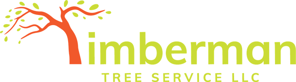 Timberman logo color 02 1