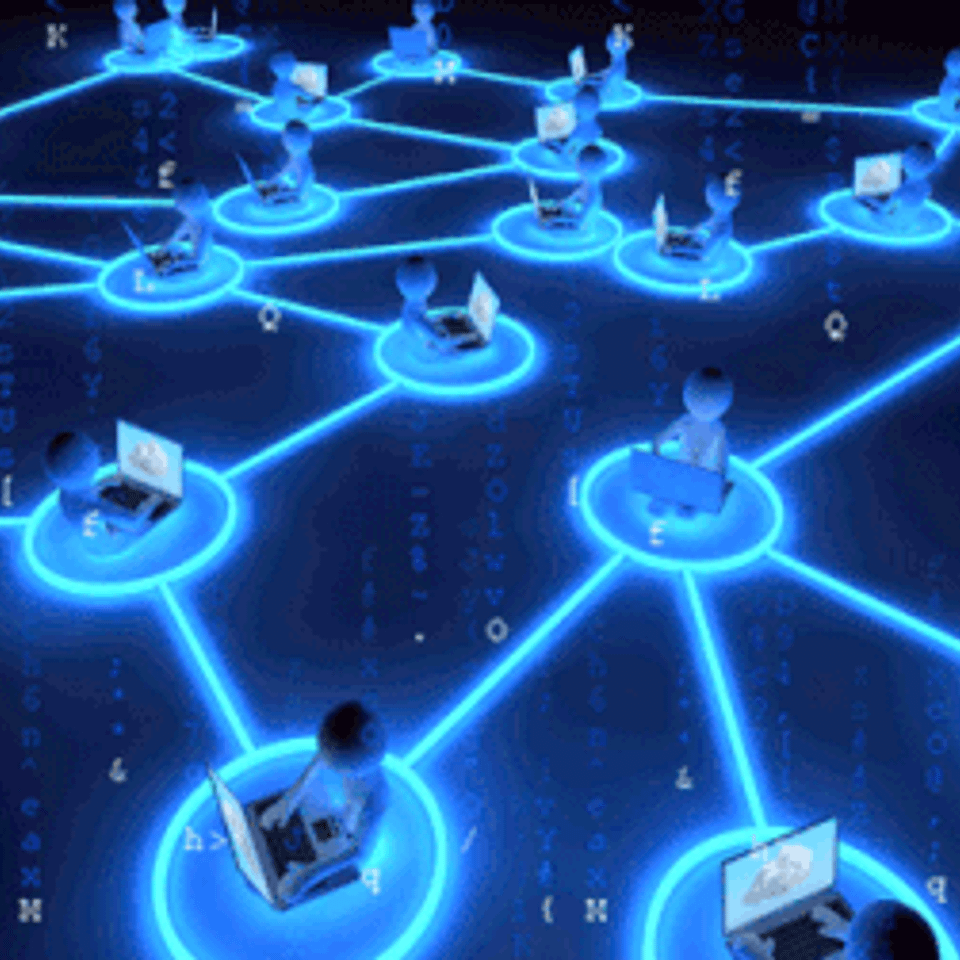 Network gif