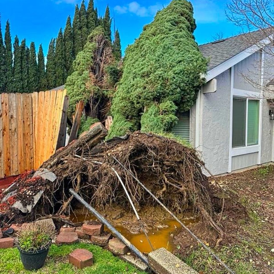 Emergencey tree services fair oaks