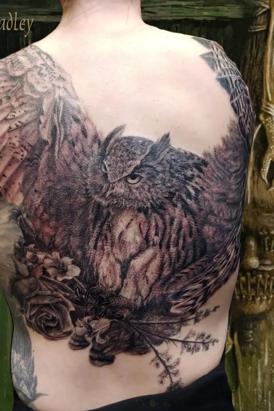 Hadley owl copy