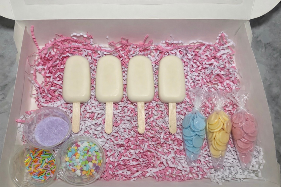 large cakesicle box