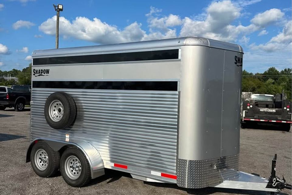 655649100 26960307060238521 6229561807671210573 n