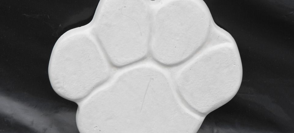  18 paw print stepping stone20150505 6981 4kuih6