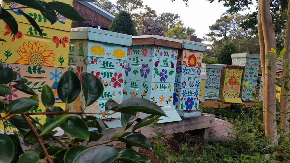 Beehives2021uncrpd1