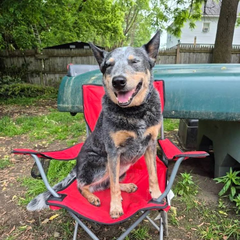 Fb img 1769435367802