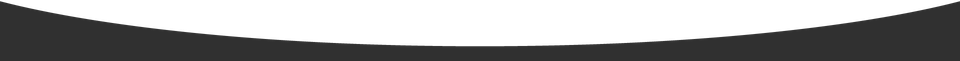 Bottom grey divider