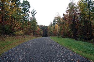 Buildinglots photo d