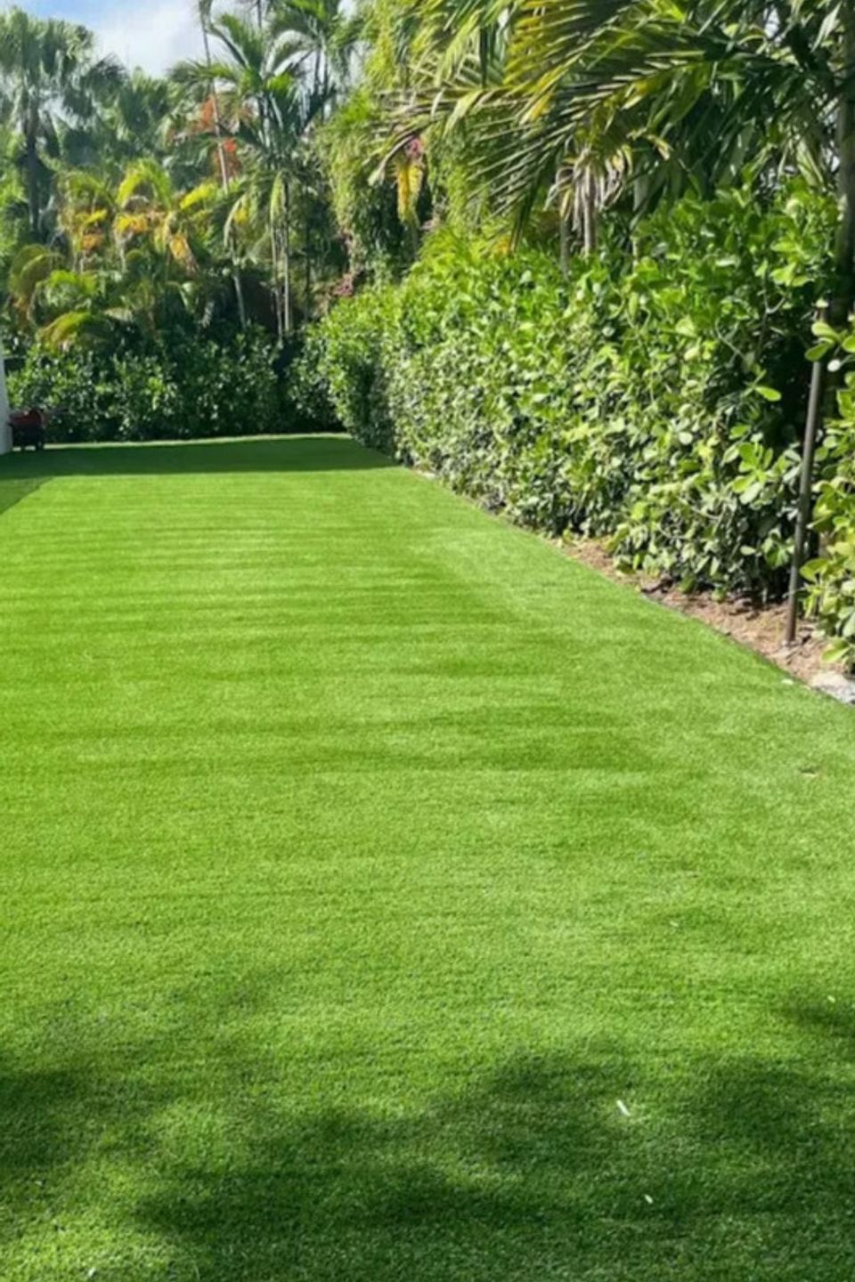 Synthetic  Grass 