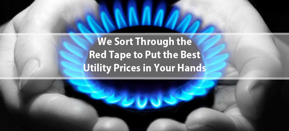Natural gas suppliers
