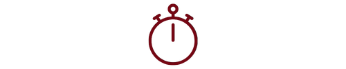 Stopwatch icon