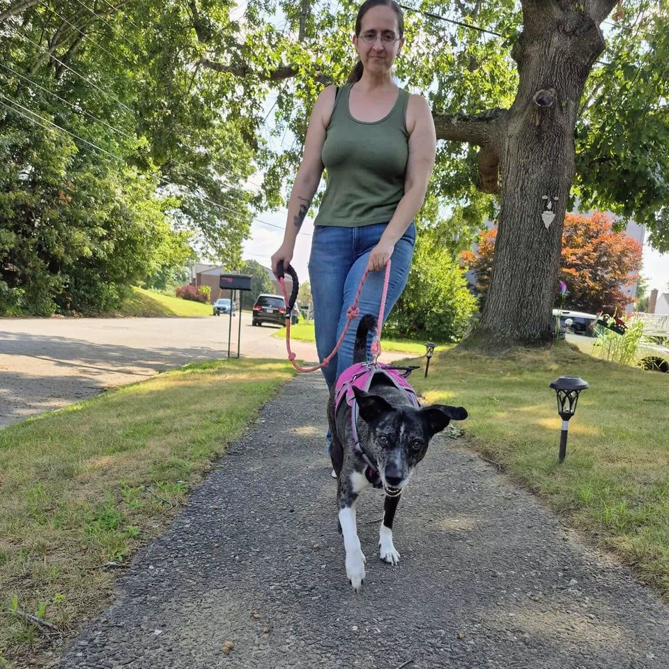 Fb img 1769435515726 2