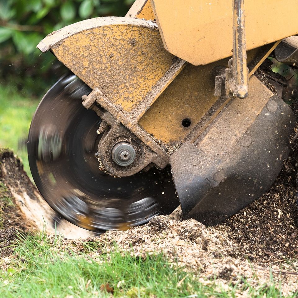 Stump grinder