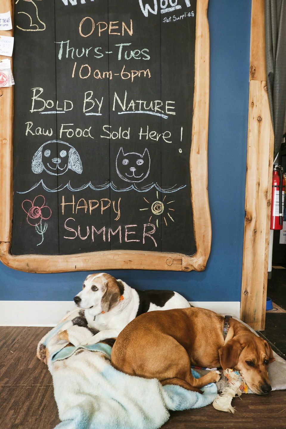 Pexels chris alo 3379138 13002613