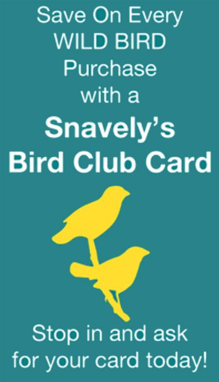 Bird club card small