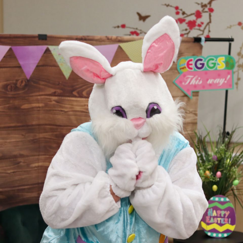 2023 bunny