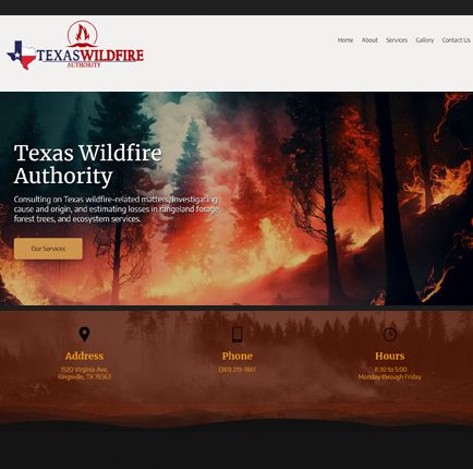 Texas wildfire