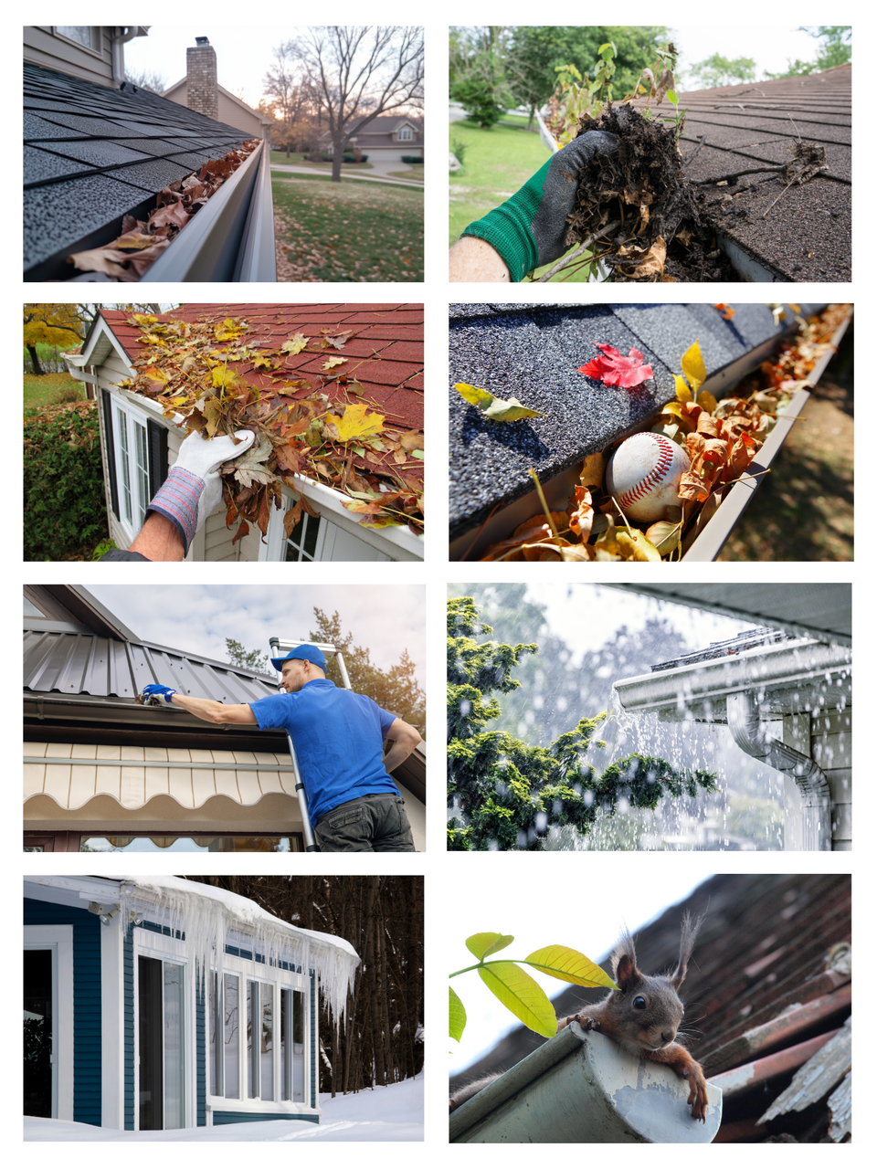 Clogged gutters 2