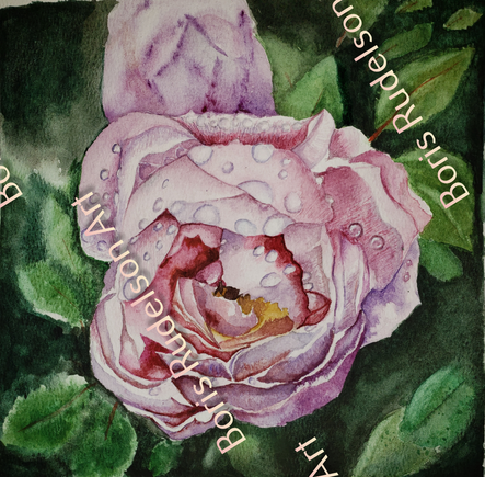 Rose