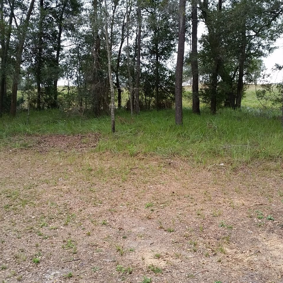 Back yard b 862020180103 21016 m45j1p