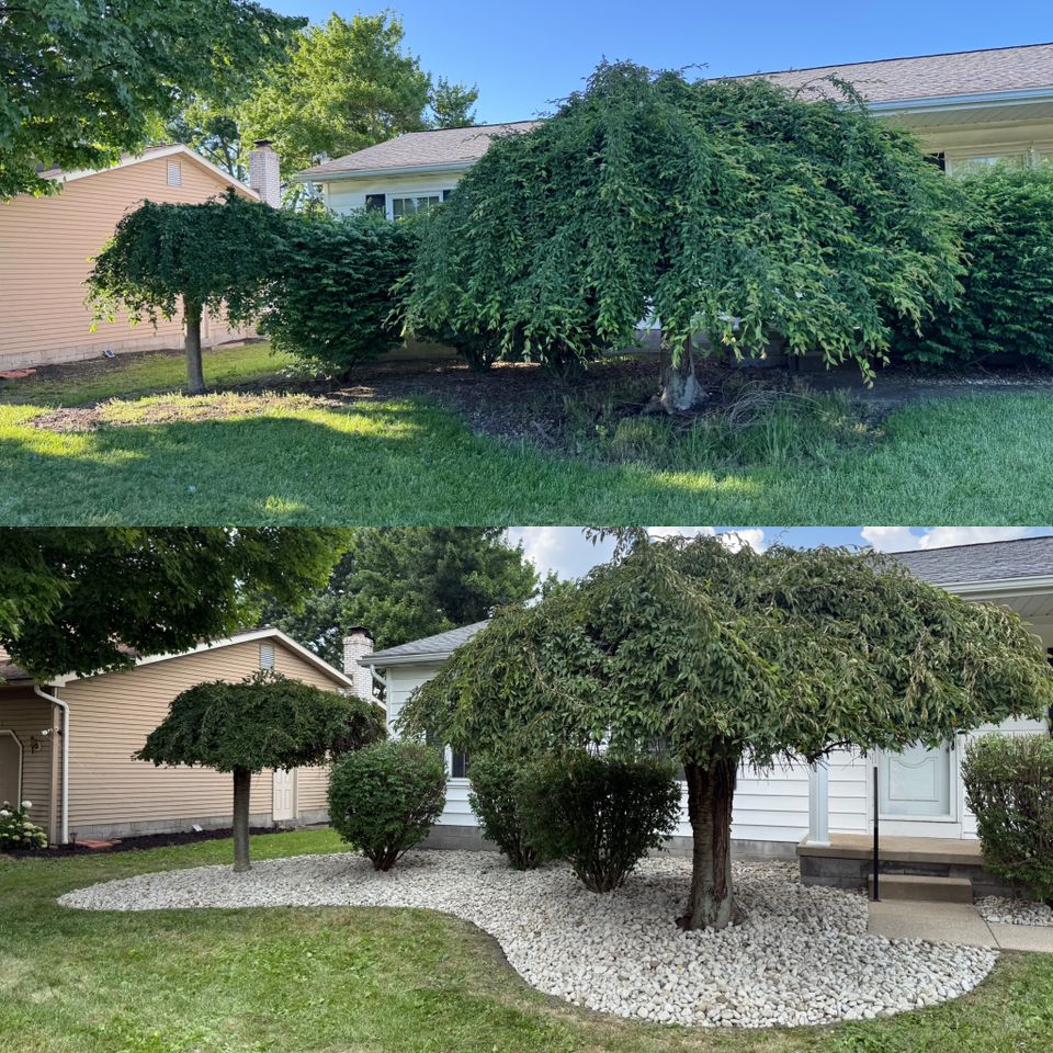 9ee9e6e6 fe85 41e0 80f5 d177892ea513