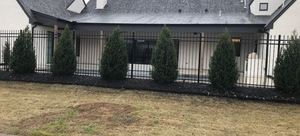 Landscaping solutions   tulsa oklahoma   decorative trees   image1 2