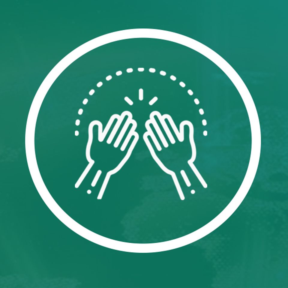 Whatsapp icon