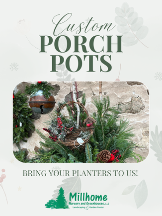 Beige and green colorful open house poster