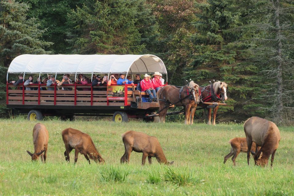 Wagon rides at the Elk Country Visitors Center in Benezette, PA
